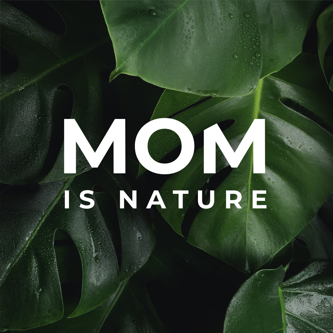 Mom is Nature